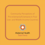 Community Perceptions of Pre-eclampsia/Eclampsia in Four Low- and Middle-Income Countries