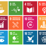 One Year Anniversary of the Sustainable Development Goals (SDGs): Where Are We Now?